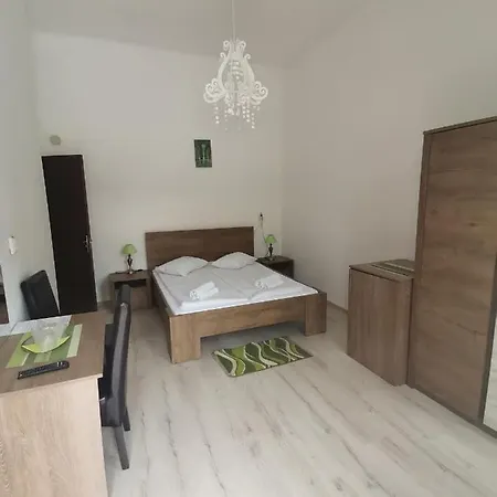 Pensiunea Boema Pensjonat *