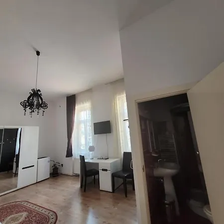 Maison d'hôtes Pensiunea Boema