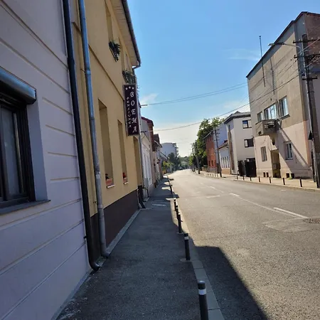 Pensiunea Boema 3* Cluj-Napoca