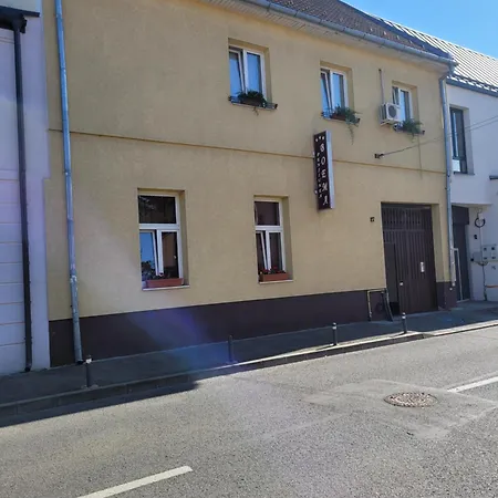 Pensionat Pensiunea Boema