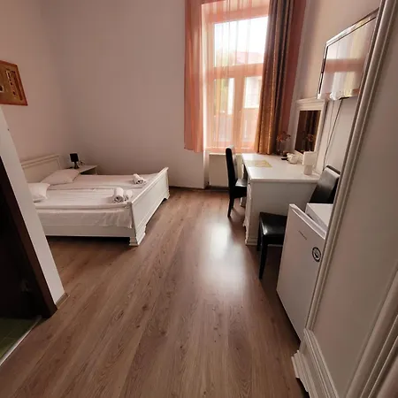 Pensiunea Boema Maison d'hôtes 3*