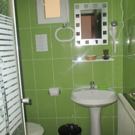Pensiunea Boema Pensjonat *