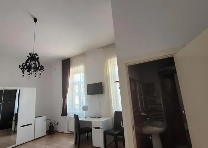 Pensión Pensiunea Boema