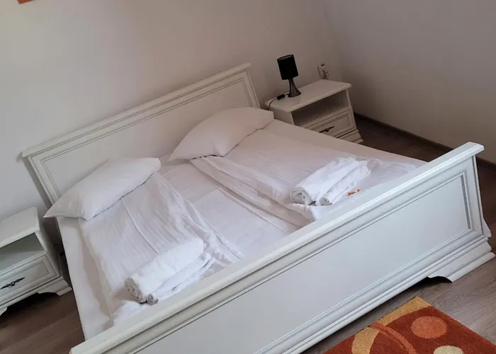 Pensiunea Boema Pensión