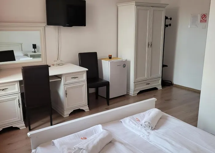 Pensión Pensiunea Boema