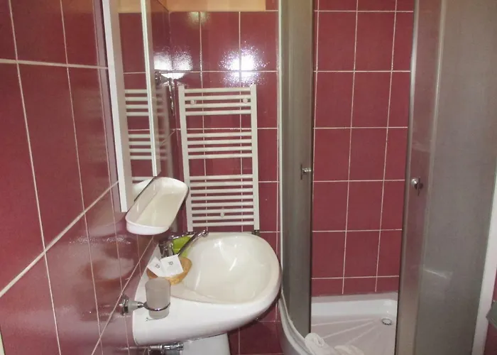 Pensión Pensiunea Boema 3*